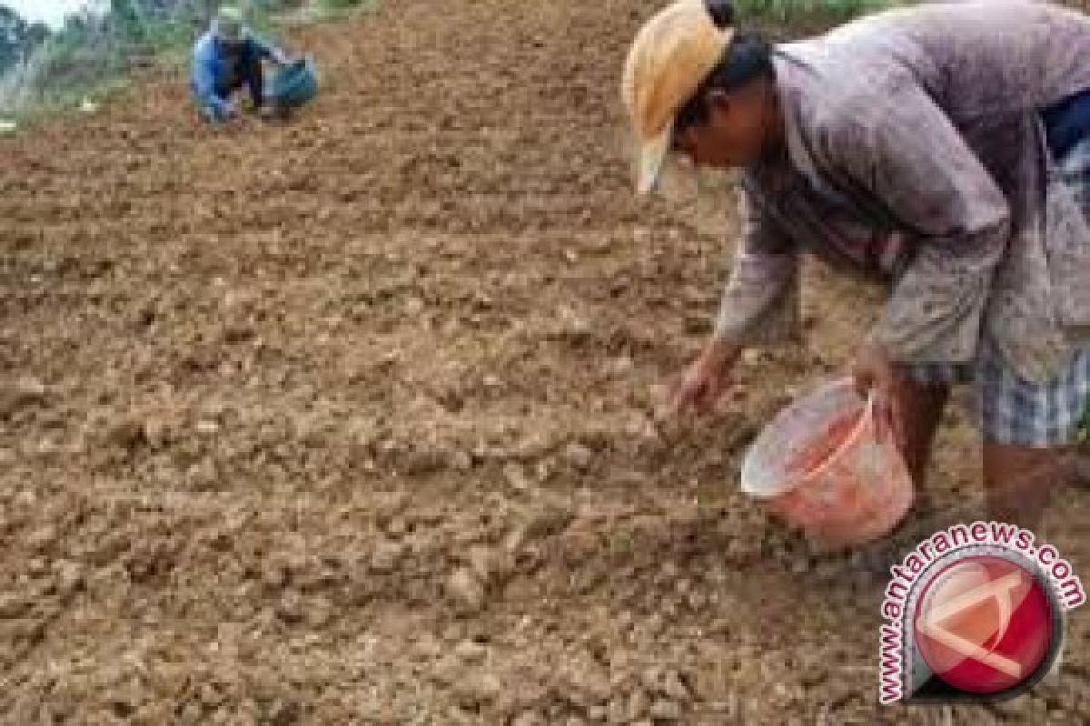 Perbaiki Struktur Tanah, Kolaka Kerja Sama dengan Loponik