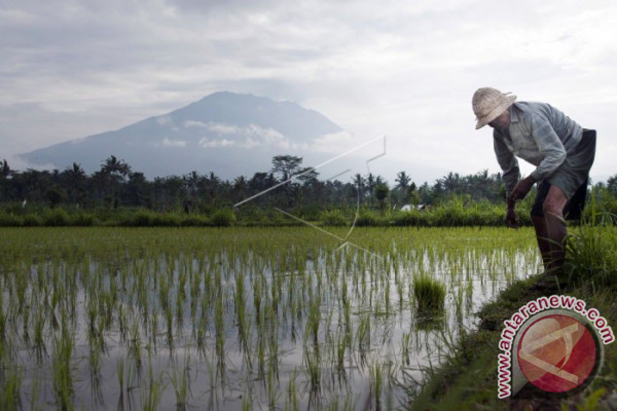 Kongres Adasia Digelar Meski Bencana Gunung Agung