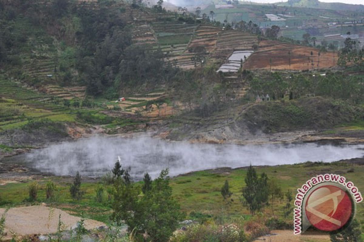 BNPB: satu tewas pohon tumbang di Banjarnegara