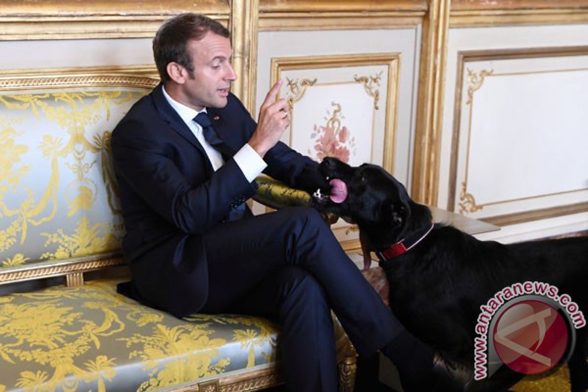 Popularitas Presiden Prancis Emmanuel Macron Membaik