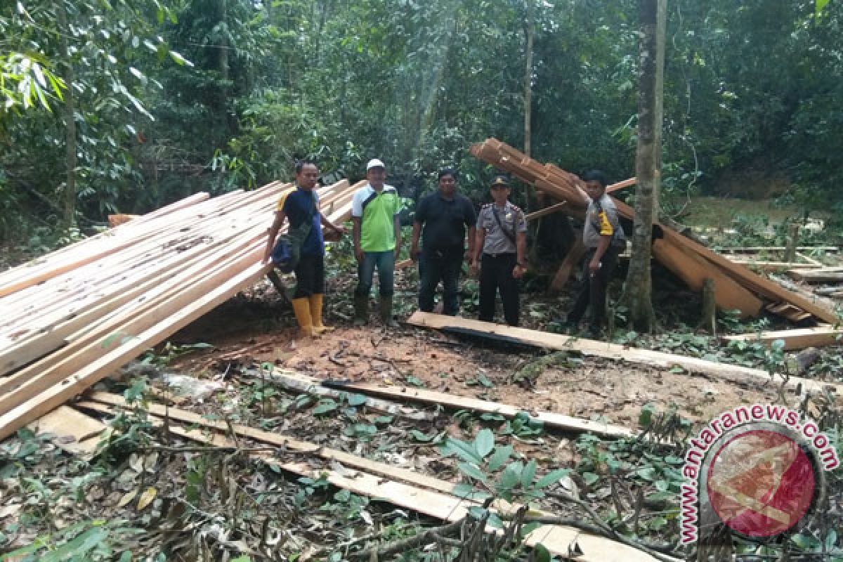 Polisi Temukan 70 Potong Kayu Meranti Ilegal