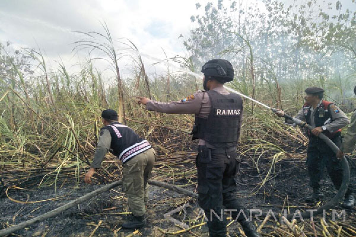 Lahan Tebu di Pamekasan Terbakar