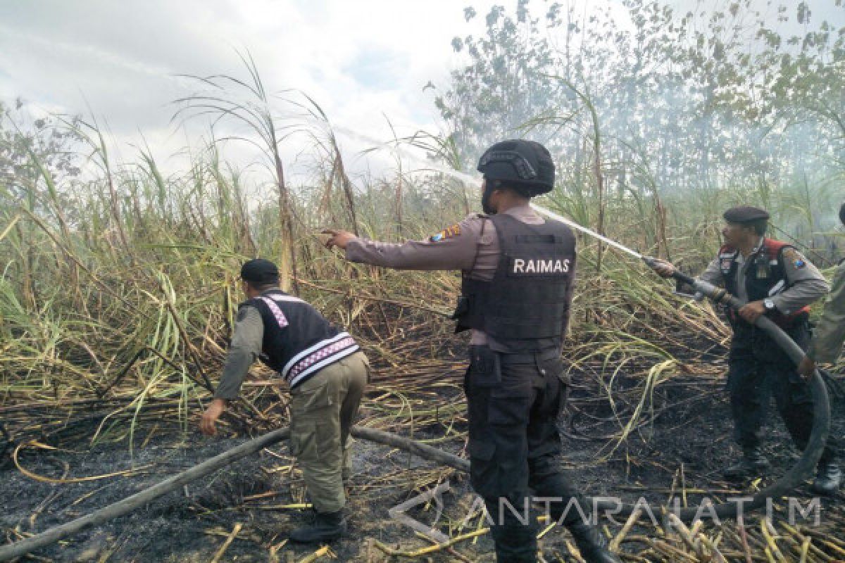 Polres Pamekasan Periksa Dua Orang Terkait Kebakaran Tebu