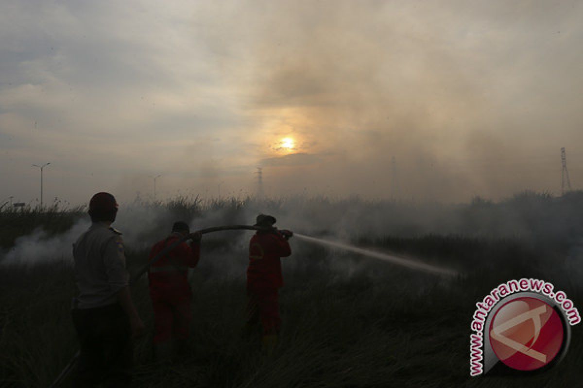 Seluas 5 hektare lahan gambut di Siak terbakar