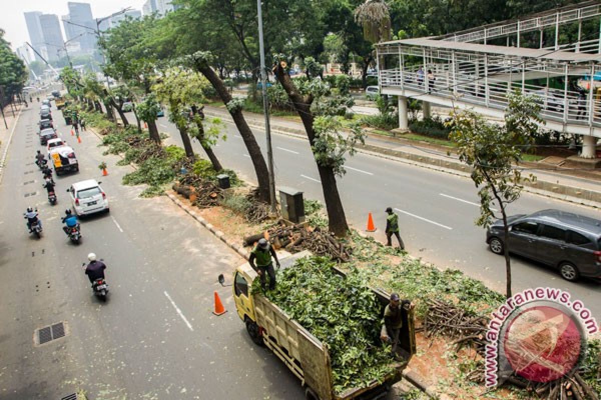 Pemprov DKI rancang konsep penataan Sudirman-Thamrin