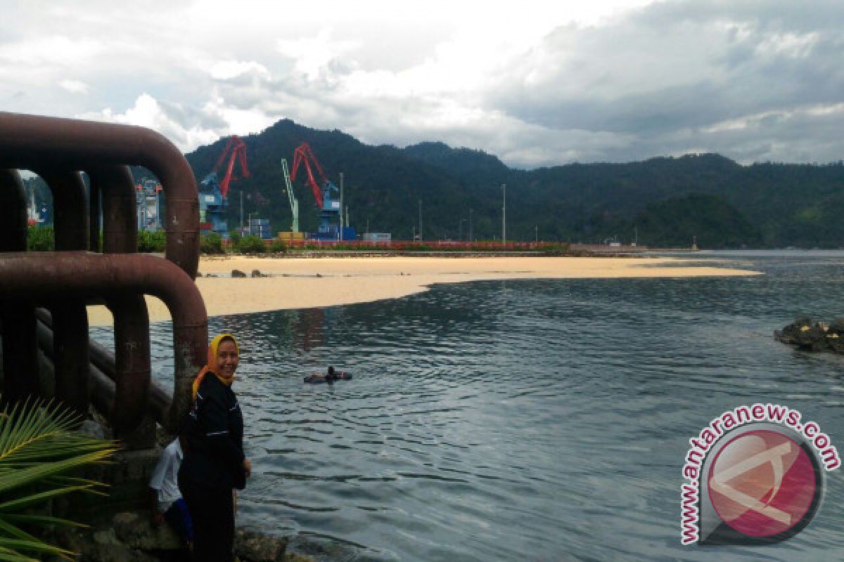 Investigasi Pencemaran Lemak Sawit di Teluk Bayur Tunggu Instruksi KLHK