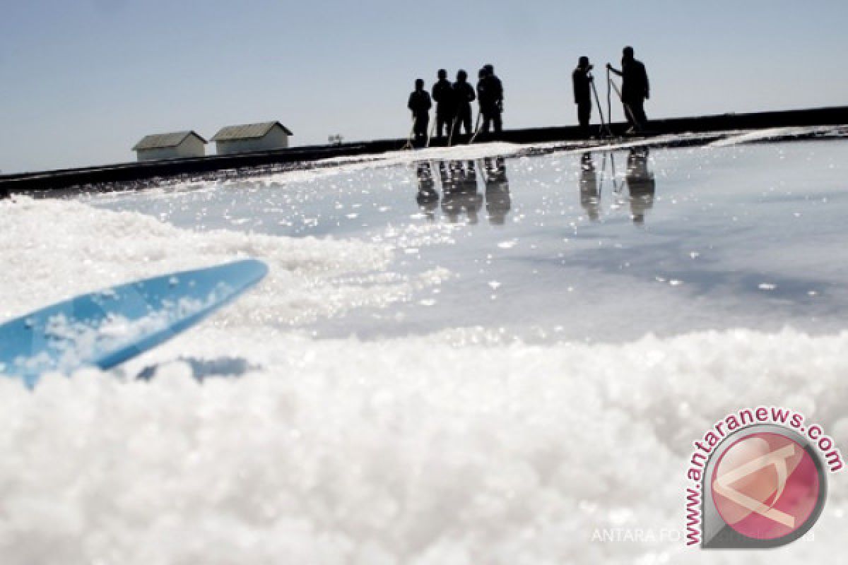 NTT offers investment in salt, seaweed to Australia, Timor Leste