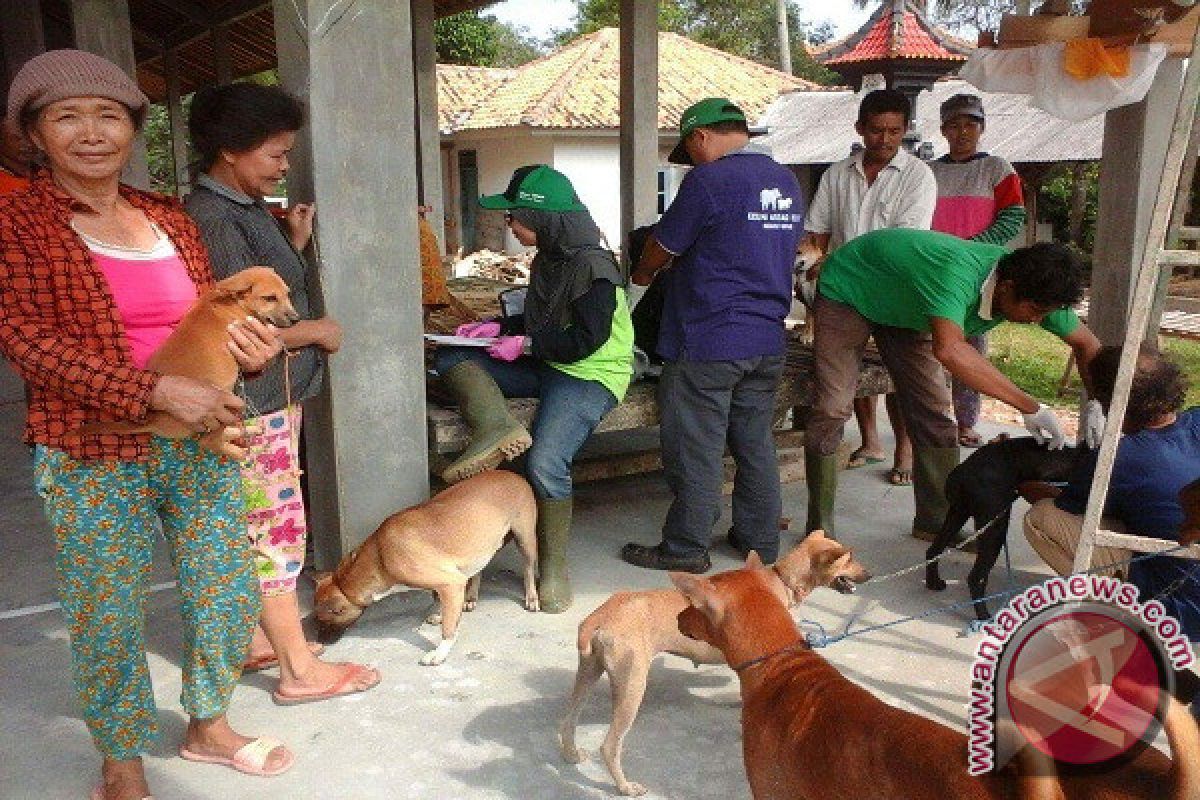 DTPHP Waykanan Vaksinasi Rabies Di Seluruh Kecamatan