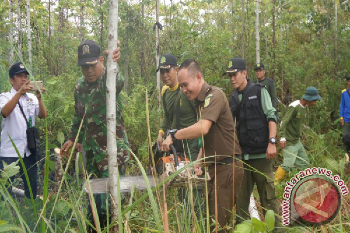 4.920 Jabon di Taman Nasional Gunung Palung Dimusnahkan