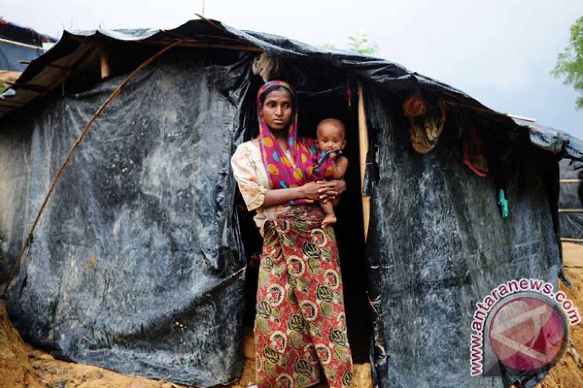 Ada tujuh rekomendasi untuk Indonesia terkait krisis Rohingya