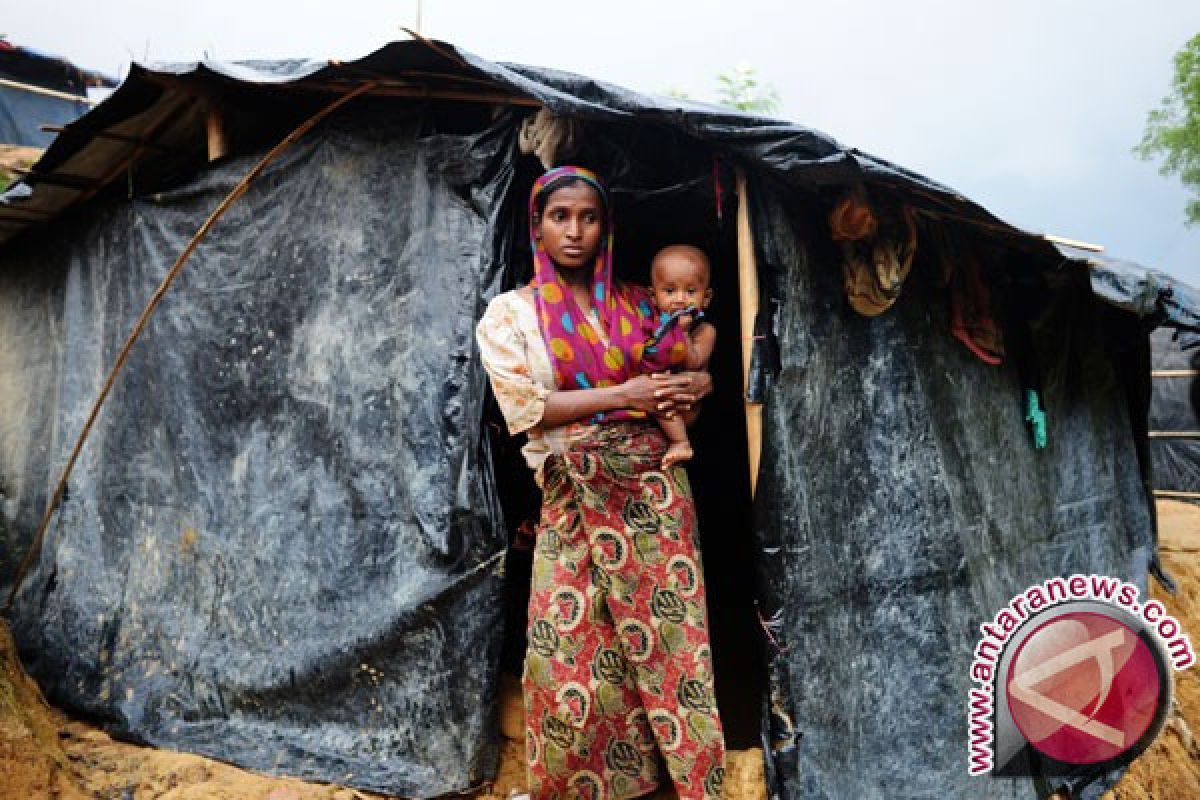 Solusi krisis Rohingya menurut Rohingya