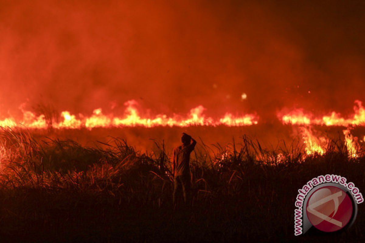 Kades berperan penting cegah kebakaran hutan