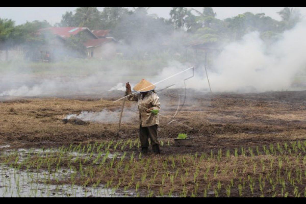 Pemuda Sambas Seleksi Petani Muda ke Jepang 