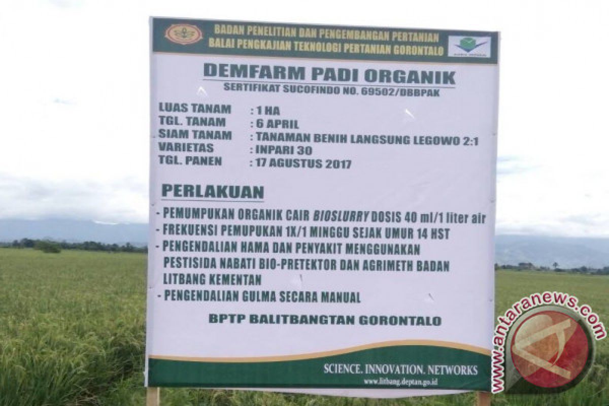 BPTP Gorontalo Lakukan Pendampingan Produksi Beras Organik 