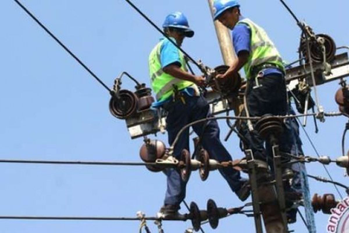 Antisipasi Gangguan Hewan, PLN Bengkalis Pasang Selang Pelindung Kabel