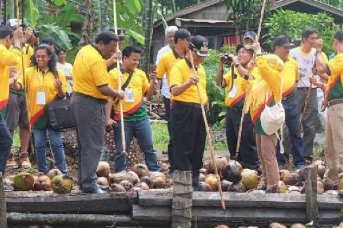 Gubri gandeng ICC kembangkan potensi kelapa