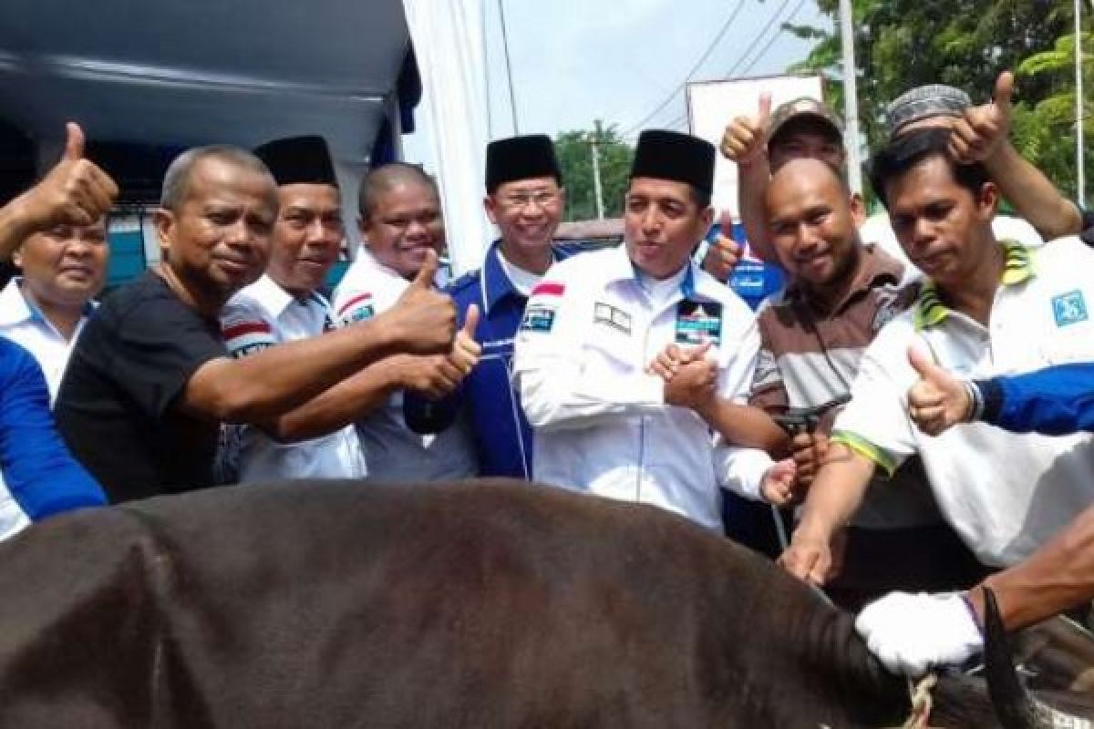 Idul Adha, PWI Riau Sumbang Tiga Ekor Sapi Untuk Masyarakat