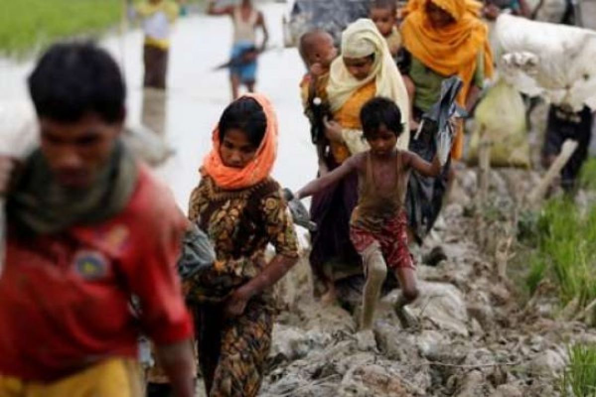 Otoritas Bangladesh Usir 2.000 Lebih Warga Rohingya Dari Pulau Persembunyian 
