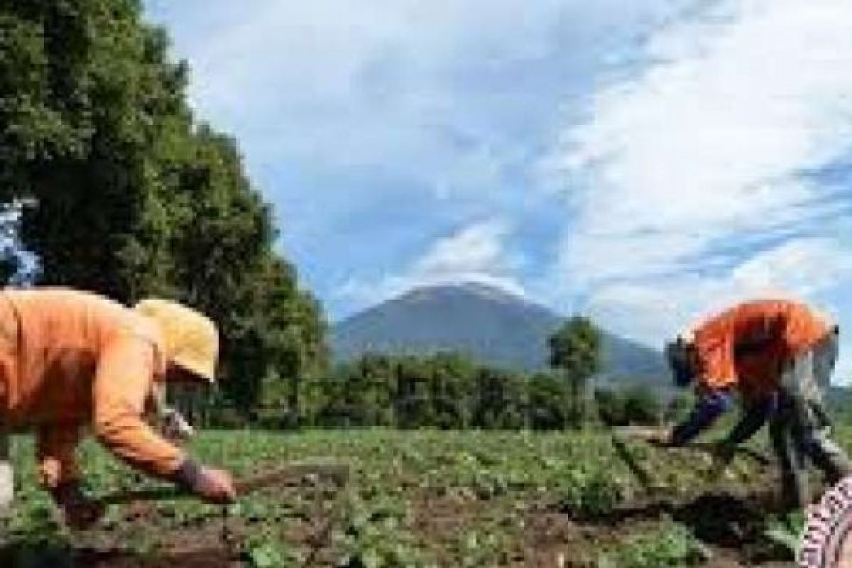  Sektor Pertanian Menuju Kemandirian Pangan 