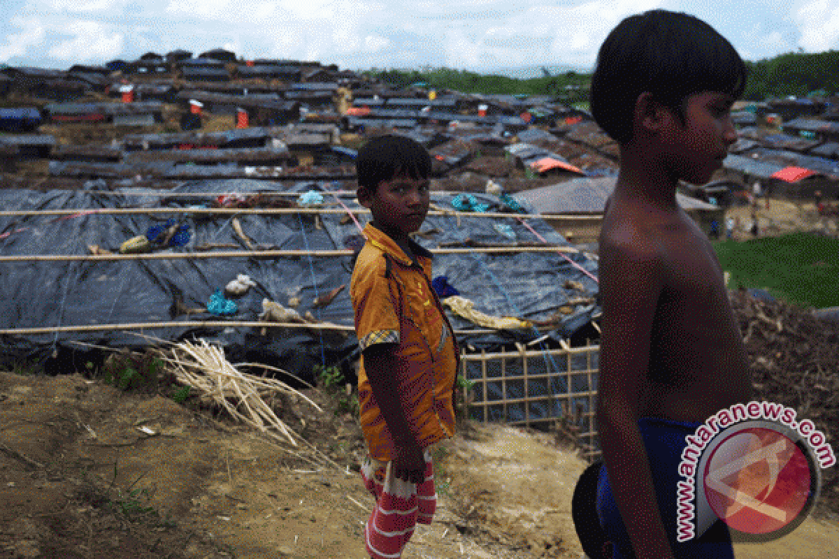 Teka-teki pembersihan etnis Rohingya