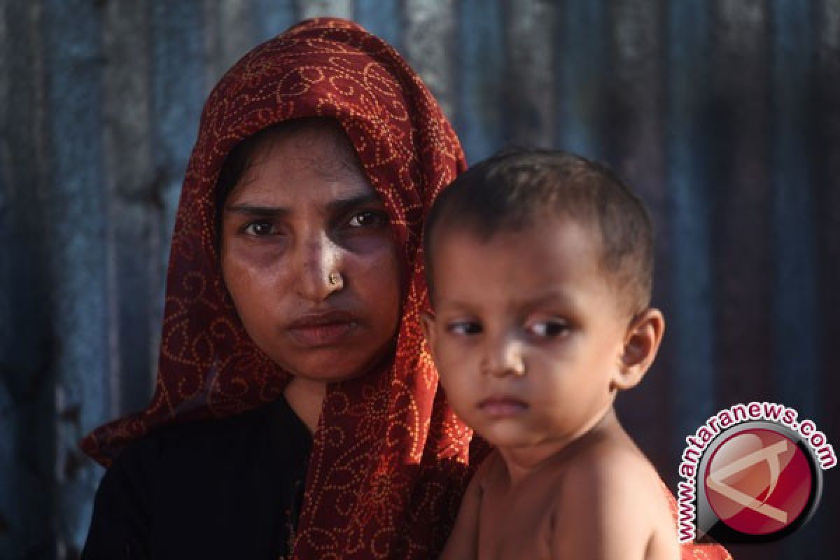 Gajah liar injak pengungsi Rohingya hingga tewas