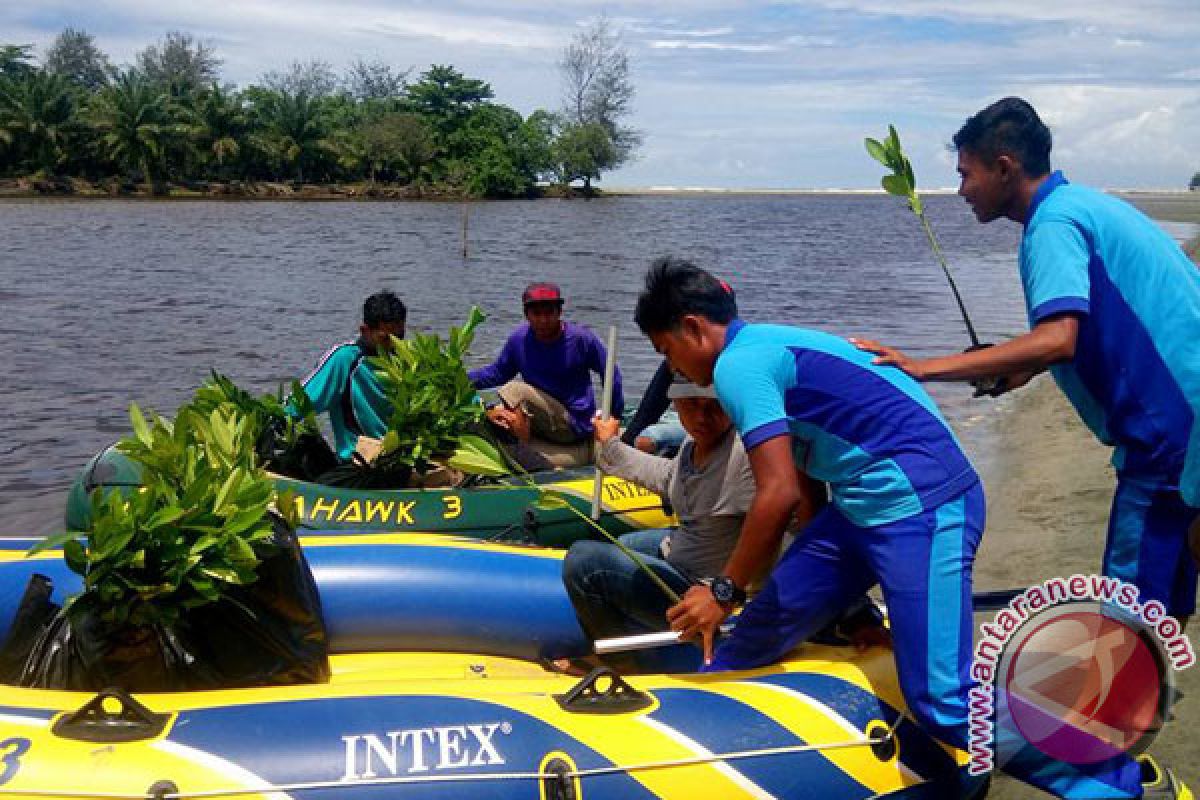 Komunitas-Pelajar Tanam Mangrove Di Muara Kungkai Seluma