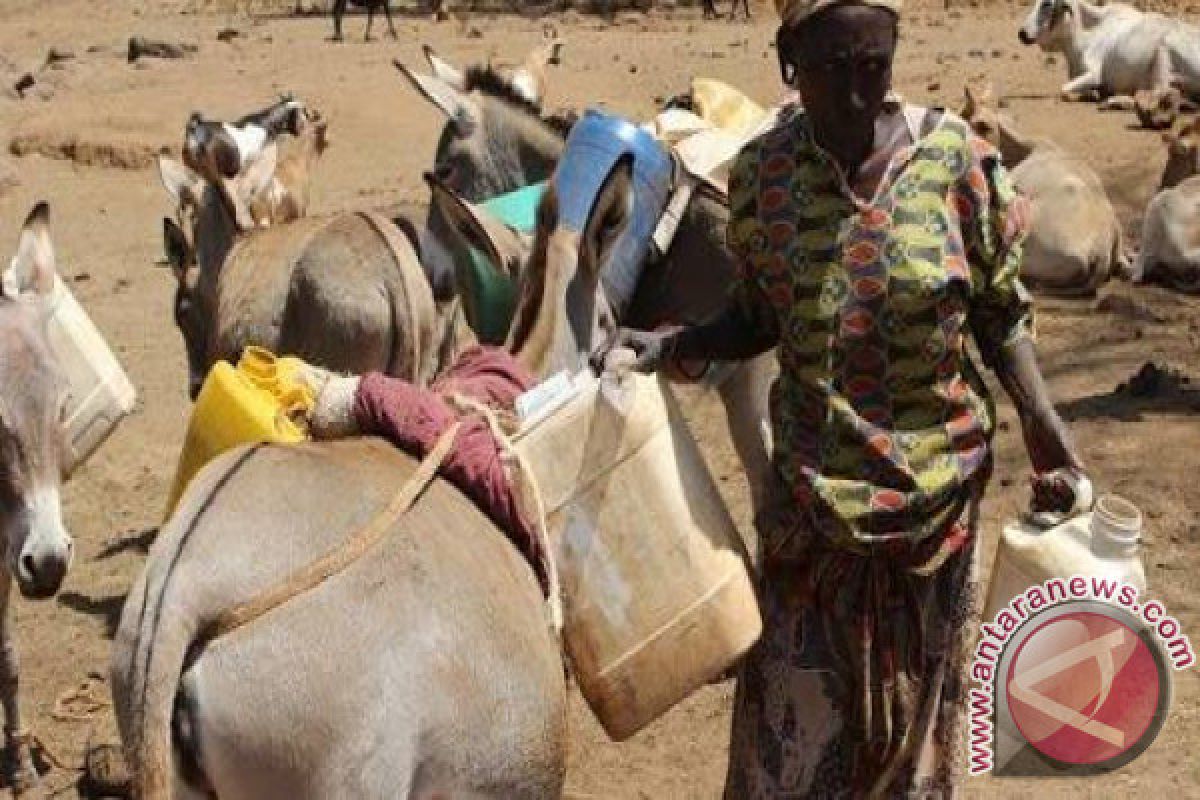 Ilmuwan: Kemerosotan Tanah Sulut Kondisi Rawan Pangan di Afrika Timur