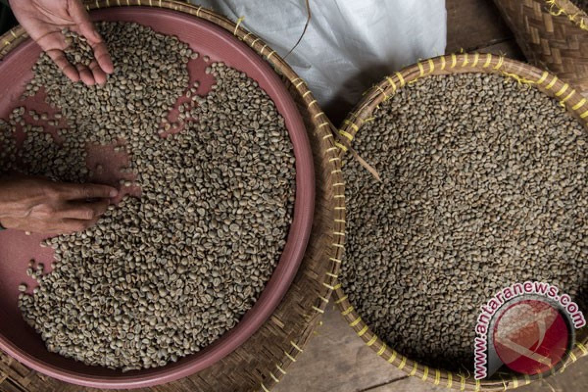 KBRI terus dorong ekspor kopi Indonesia ke Mesir