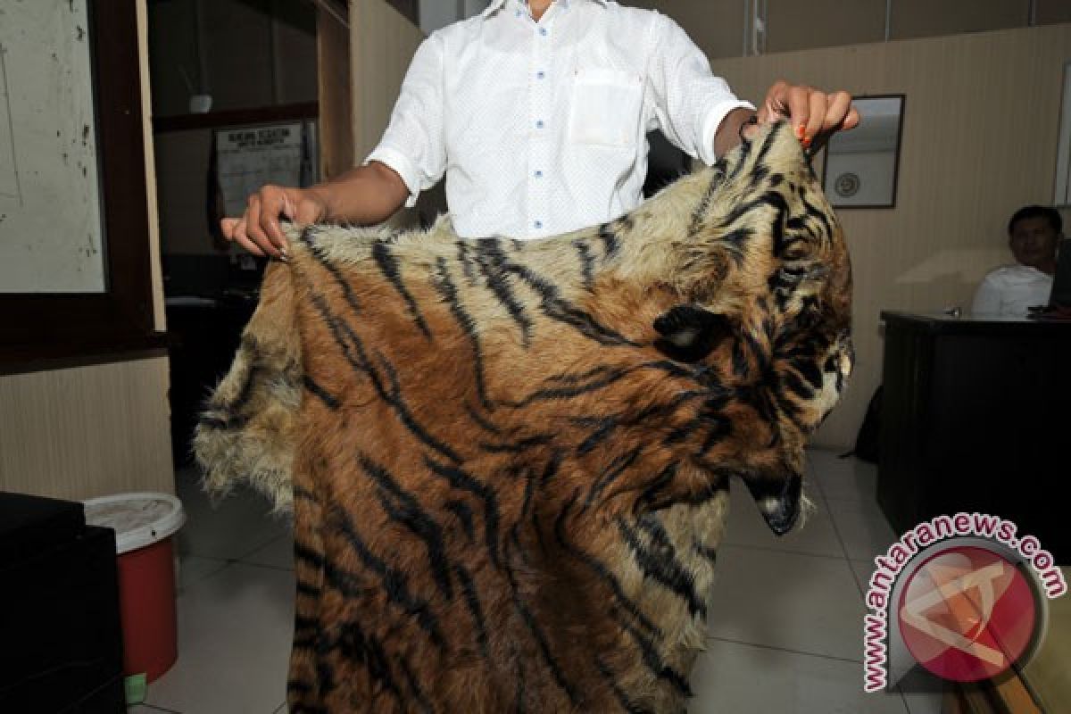 KLHK gagalkan jual beli kulit harimau