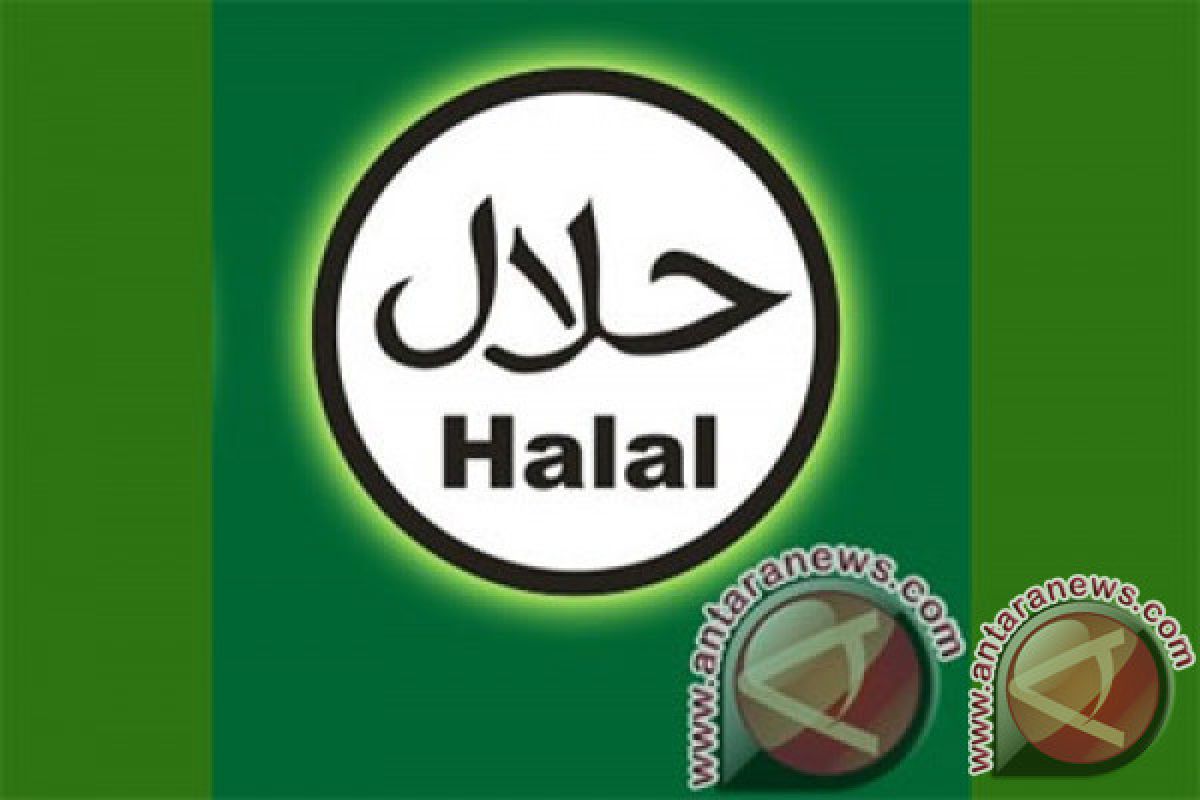 Perwakilan Lima Benua Ikuti Pelatihan Halal Internasional