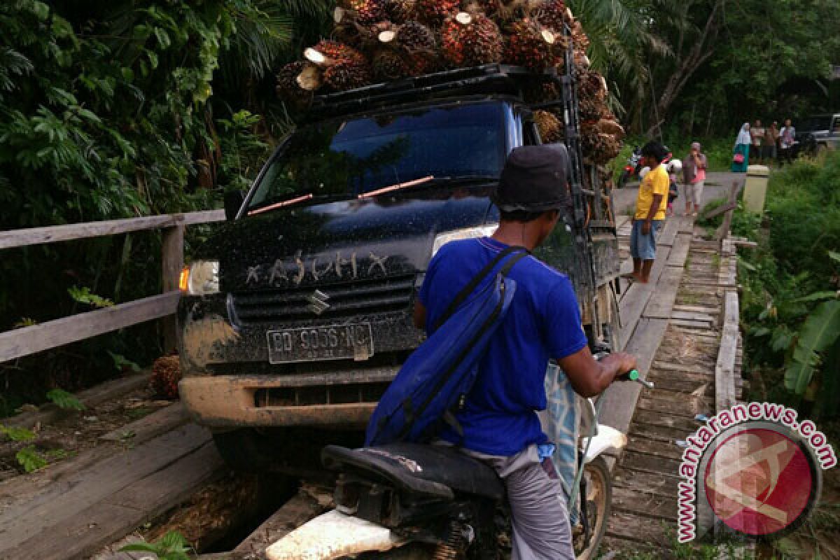 Harga sawit di pabrik Mukomuko bertahan rendah