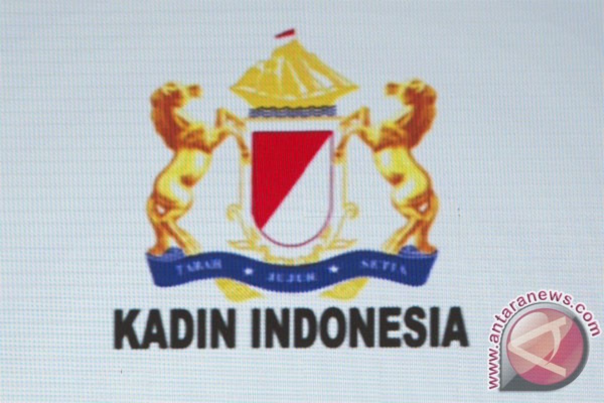 Kadin calls for avoiding noise in political year