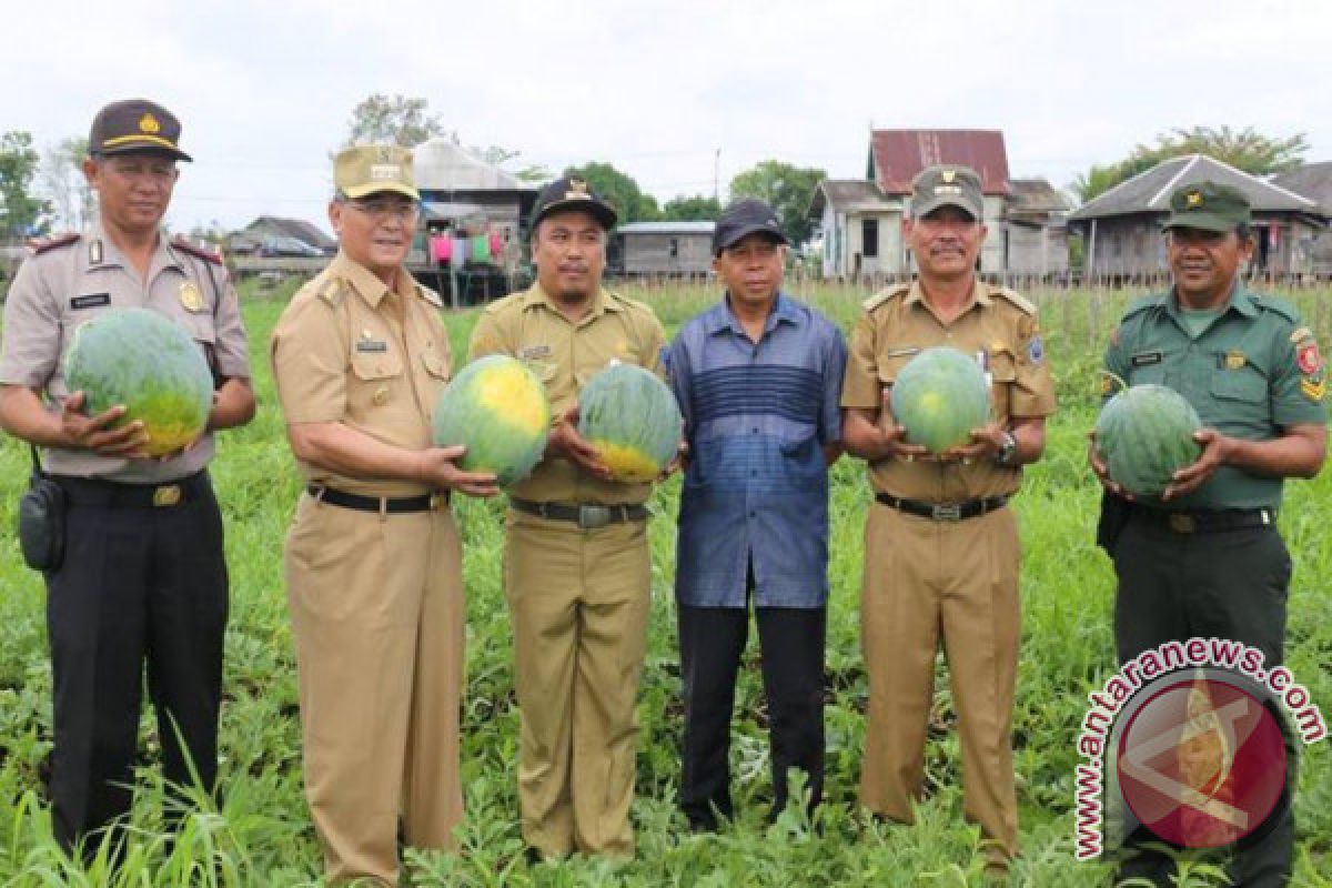 Warga Muning Baru Syukuran Panen Semangka