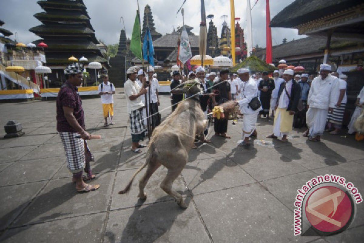 Ritual Mapepada di Pura Besakih Dilaksanakan Sederhana (Video)