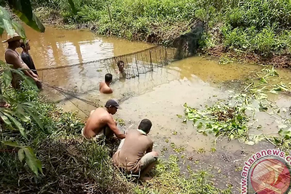 Dinas Perikanan Bantu Petani Budidayakan Ikan Lokal