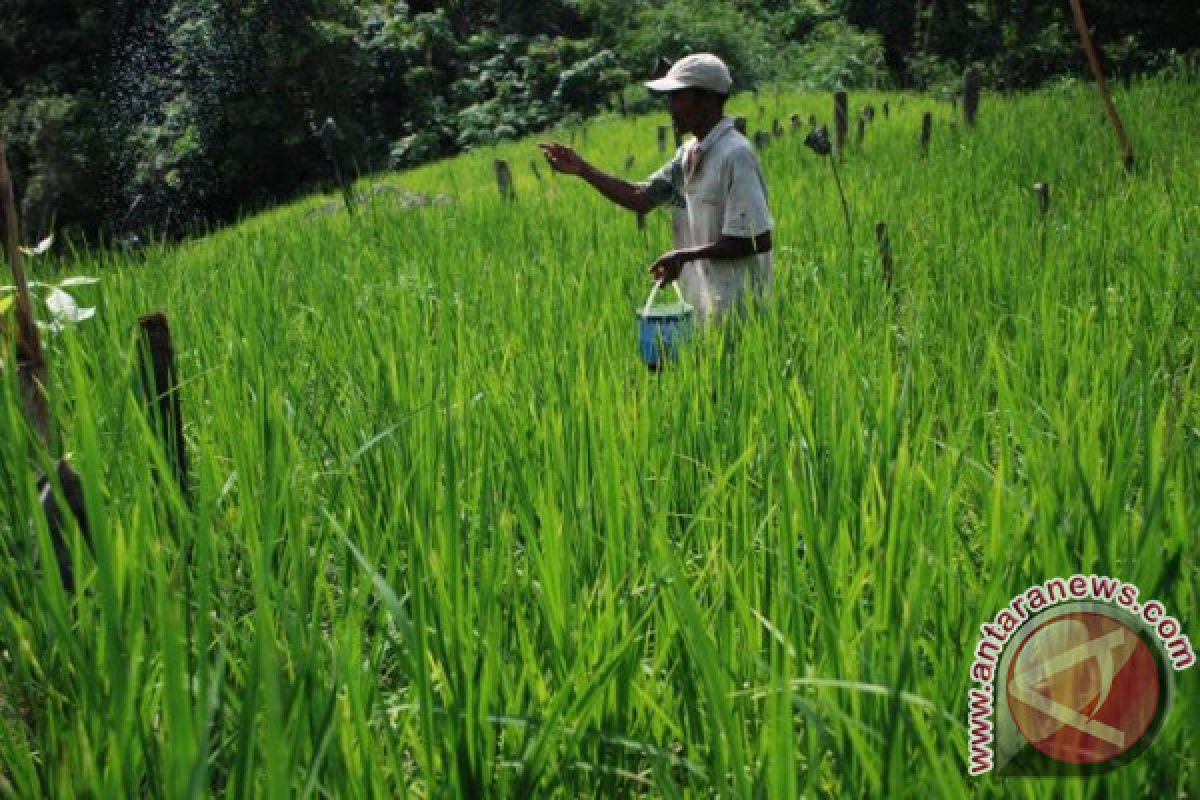 DPRD selalu terima keluhan petani kesulitan mendapatkan pupuk