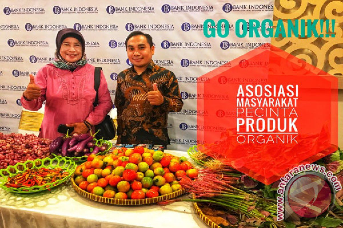 Gorontalo Daerah Potensial Untuk Pertanian Organik 