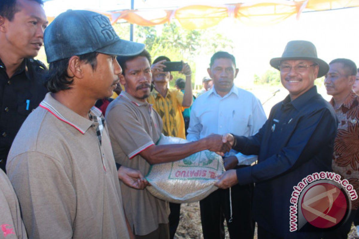 Konawe Selatan Kembangkan Tanaman Kedelai