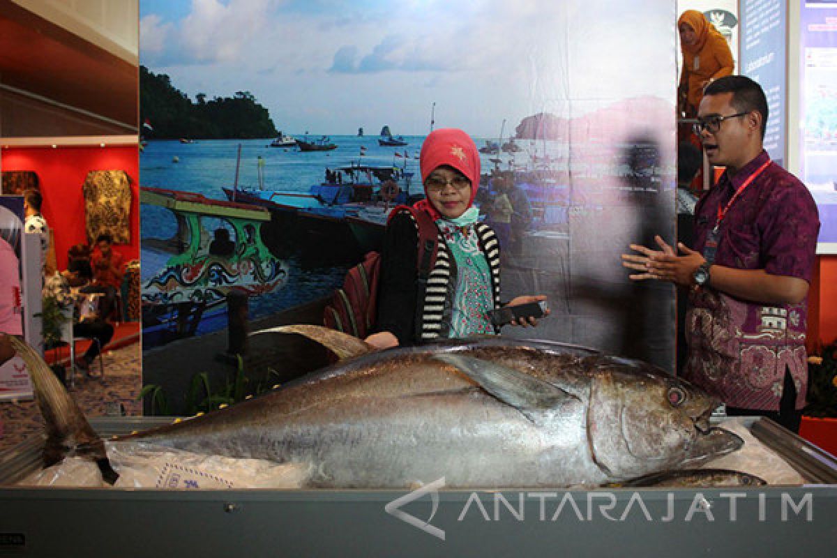 Karantina Ikan Surabaya Sumbang PNBP Rp8,6 Miliar