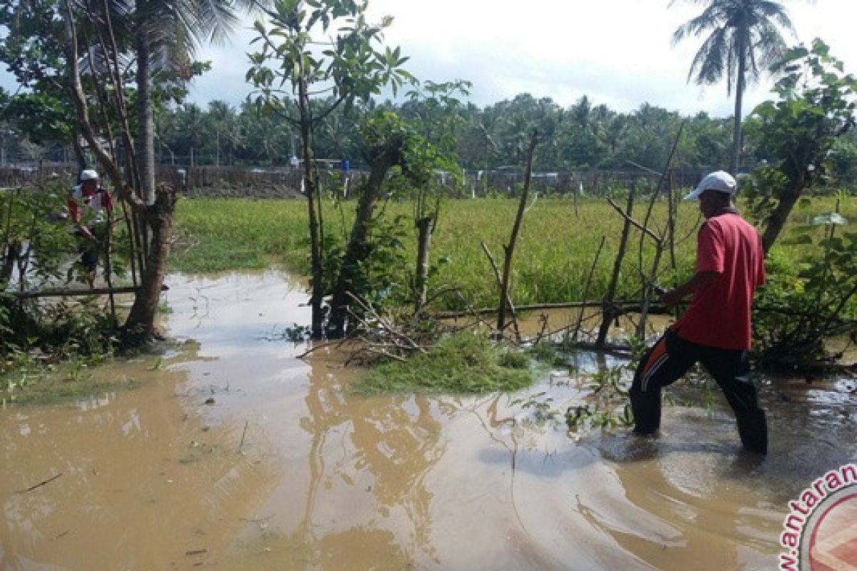 Puluhan Rumah Warga Jembrana Terendam Banjir