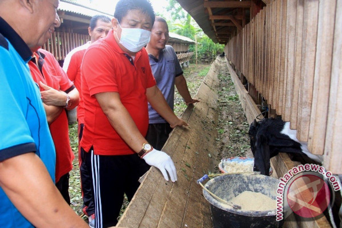 Ratusan Ekor Kambing Bantuan Siap Dibagikan