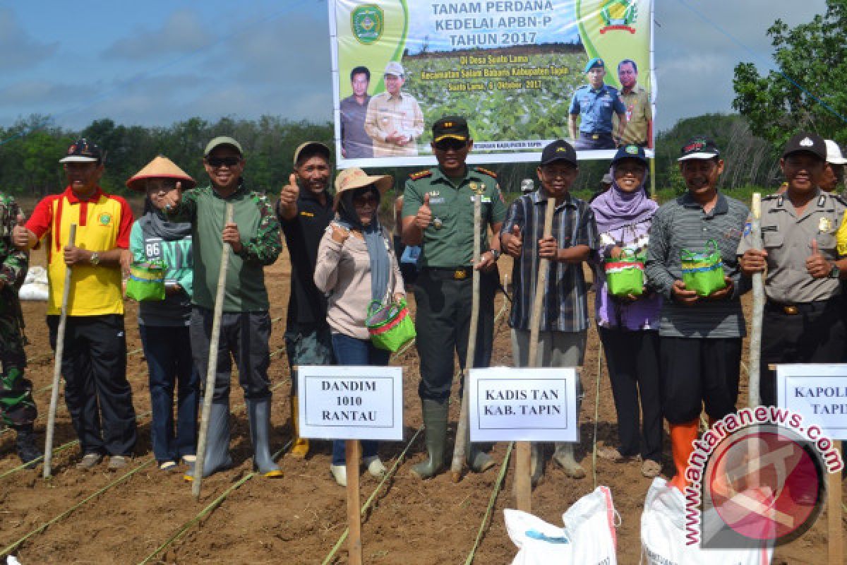 Tapin Ikut Sukseskan Tanam Serantak Kedelai