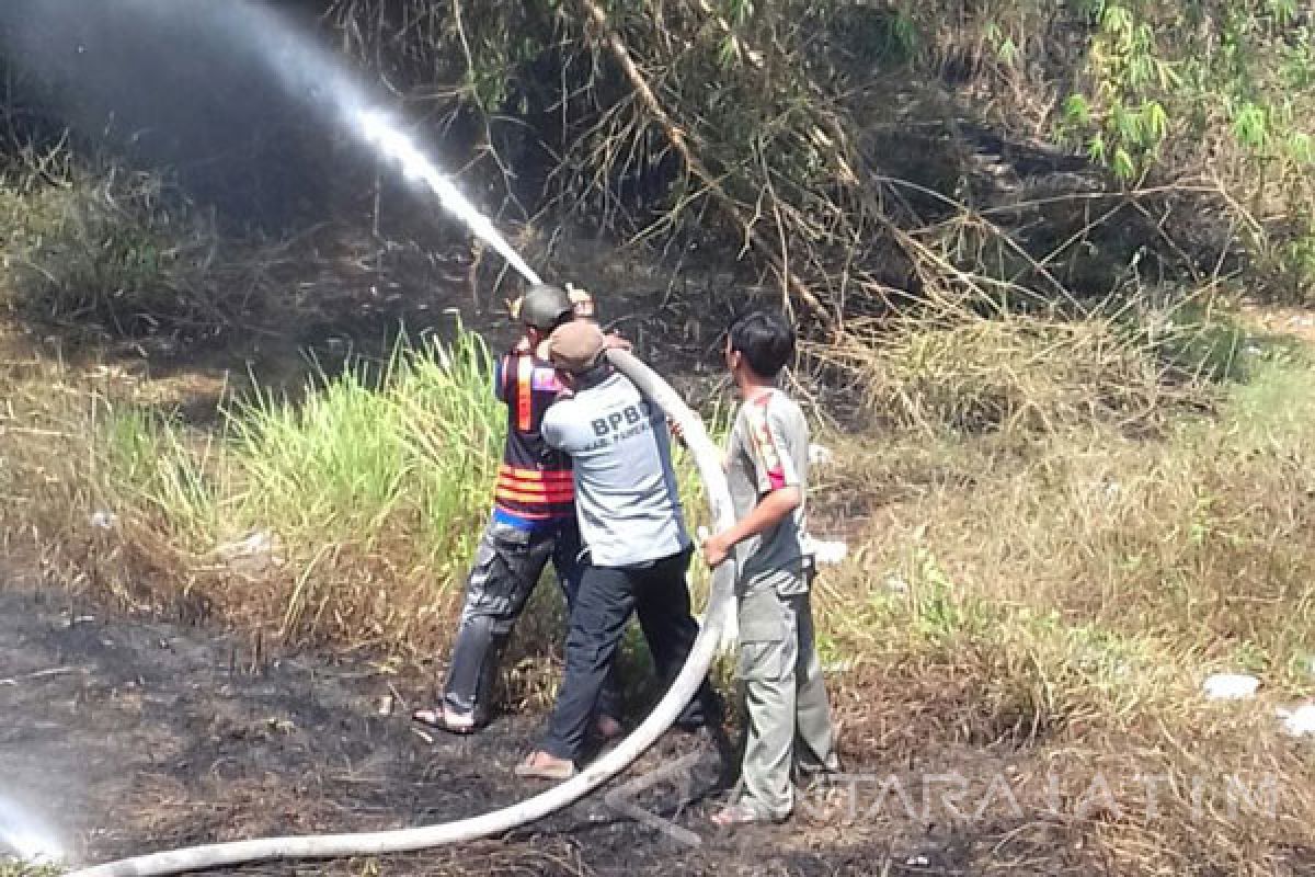 Hutan Bambu di Teja Pamekasan Terbakar