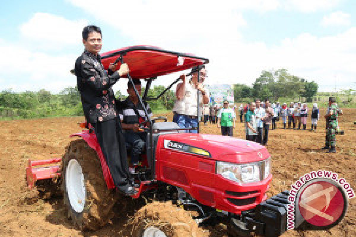 Sekdakab Tala Hadiri Penanaman Kedelai Perdana