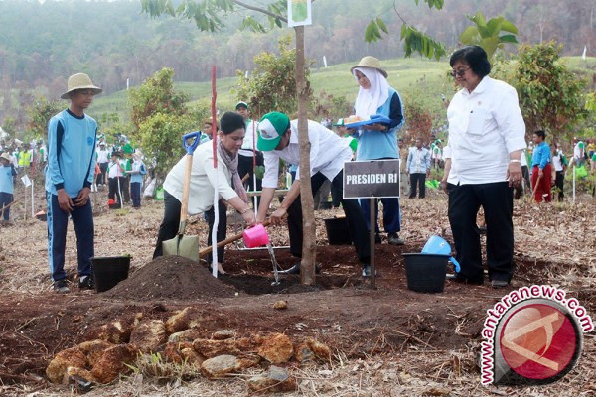 Pemprov Kalsel Tawarkan Keindahan Tahura Ke Mancanegara 