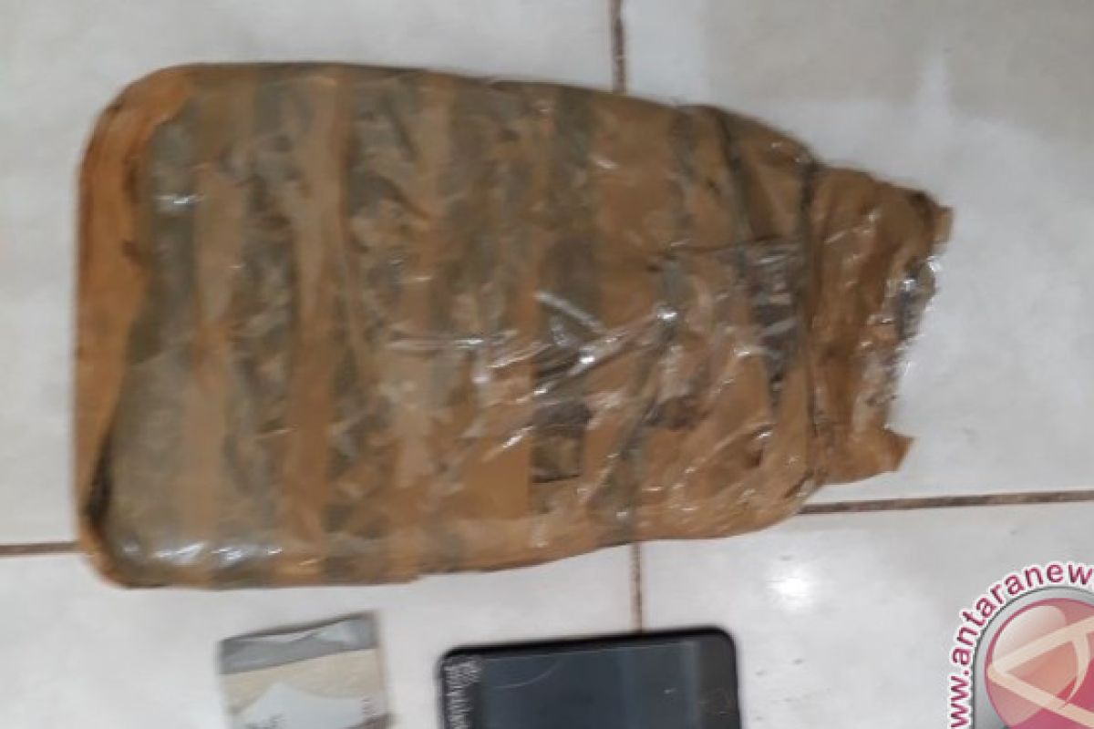 BNNP Kaltim Gagalkan Pengiriman 600 Gram Ganja dari Medan