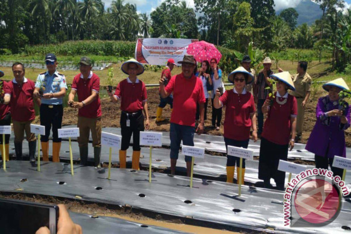 BI-TPID-PKK Gerakan Barito Kendalikan Inflasi Manado 