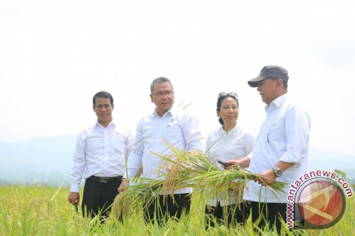 Tiga Menteri Panen Padi di Ciamis