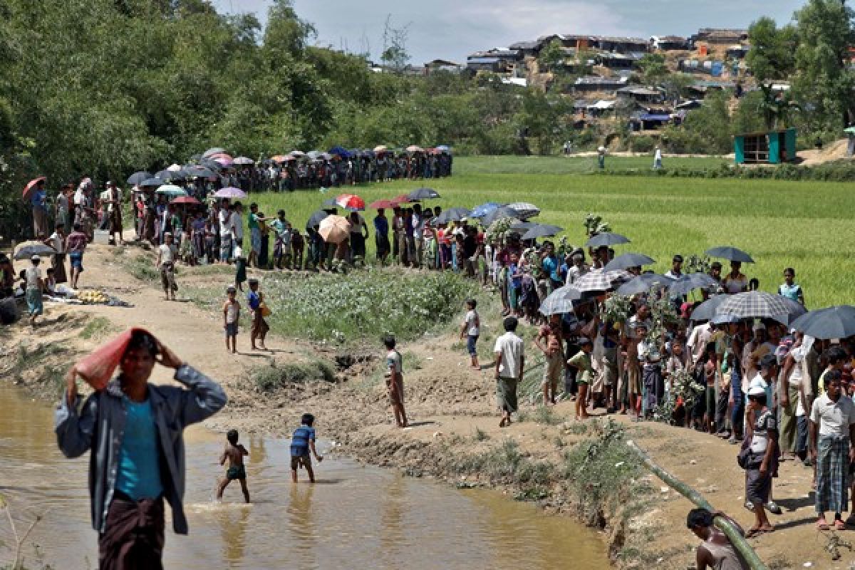 Gelombang baru pengungsi Rohingya padati Bangladesh