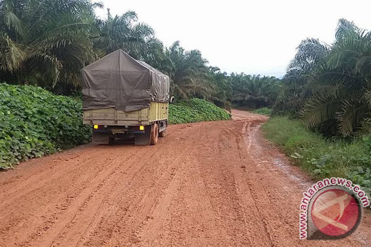 Distan targetkan pembangunan jalan perkebunan tuntas Desember